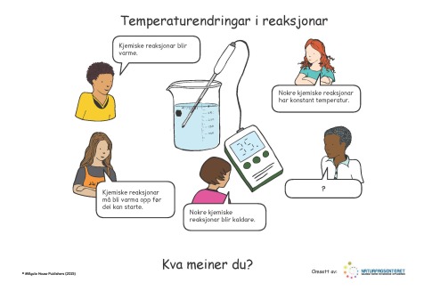 Natron Eddik Reaksjonslikning