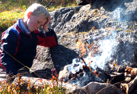 Bålet - Forbrenning og energikilde