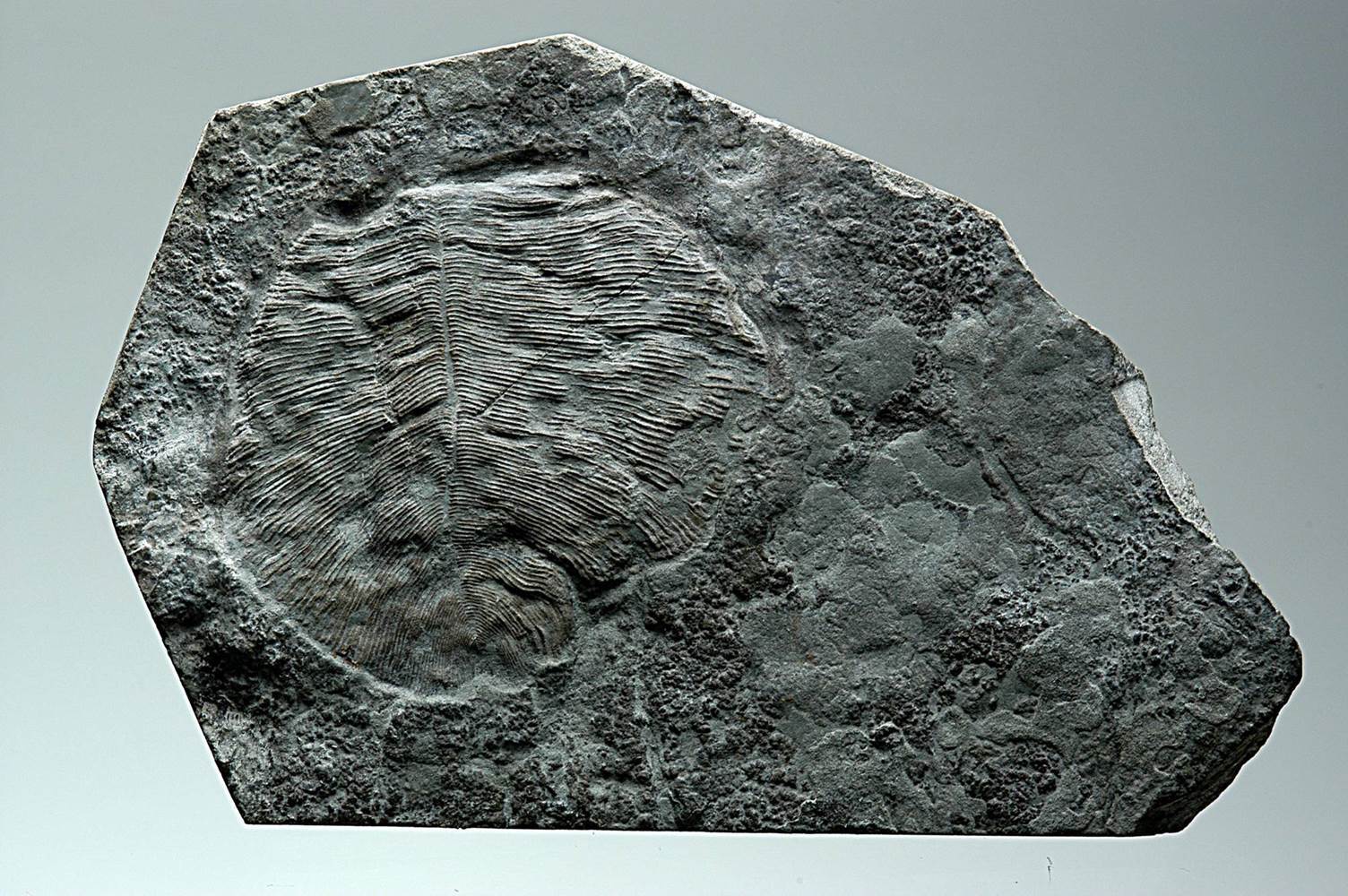 datering av steiner og geologiske hendelserdating universitet veileder